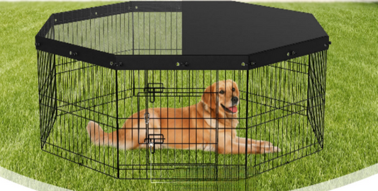 Dog Playpen
