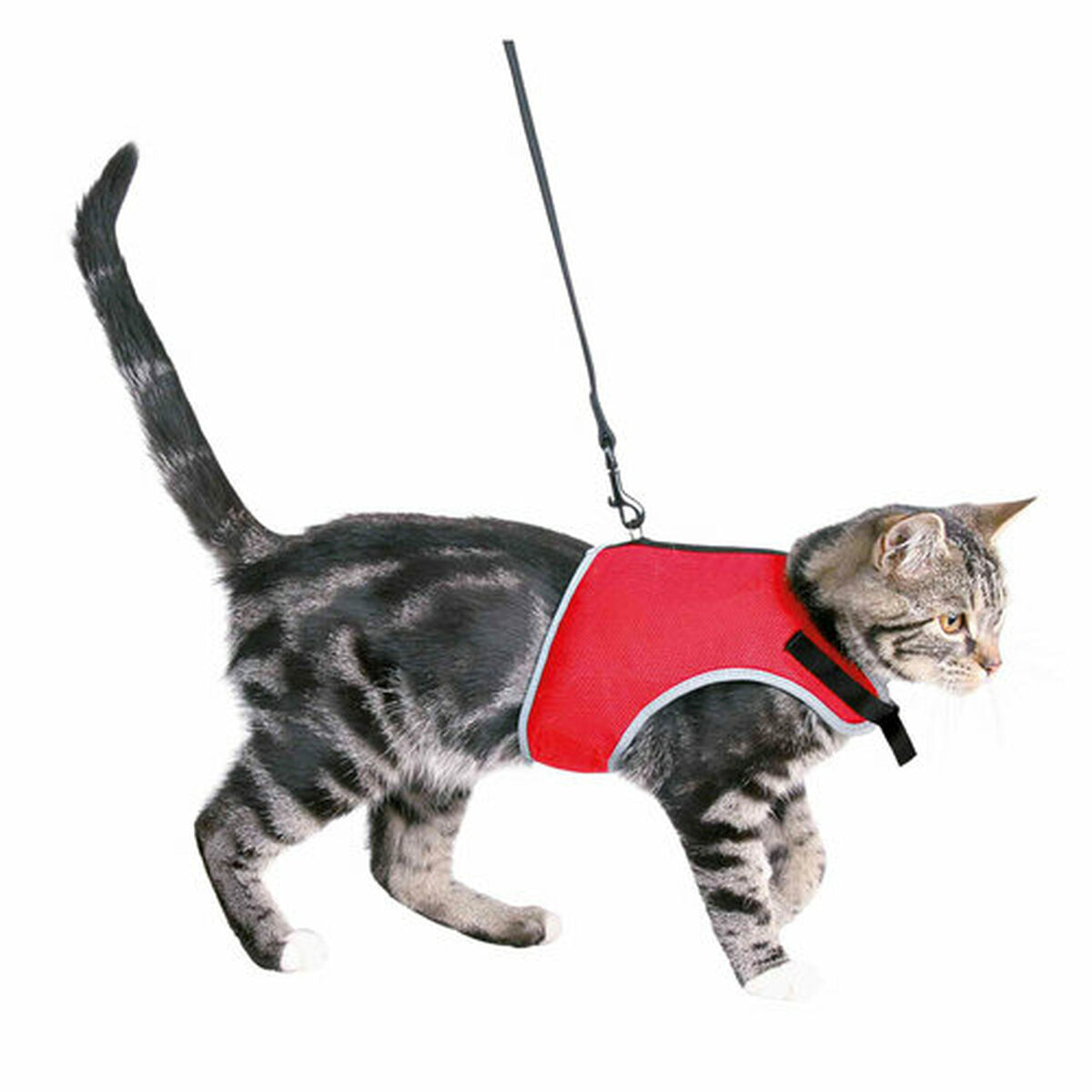 Pet Harness Trixie-3